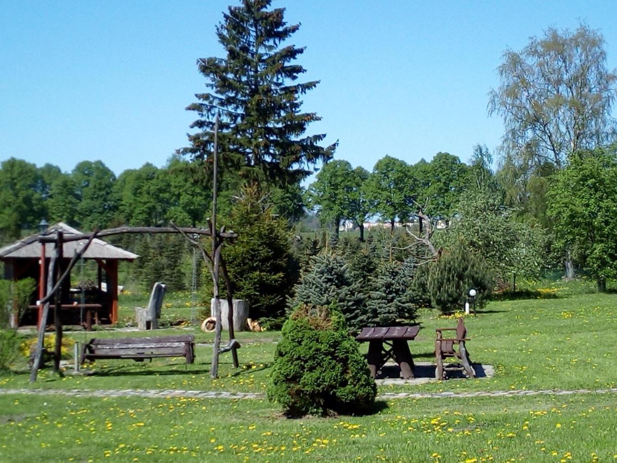Agroturystyka Andrzejowka Czerniki Kültér fotó